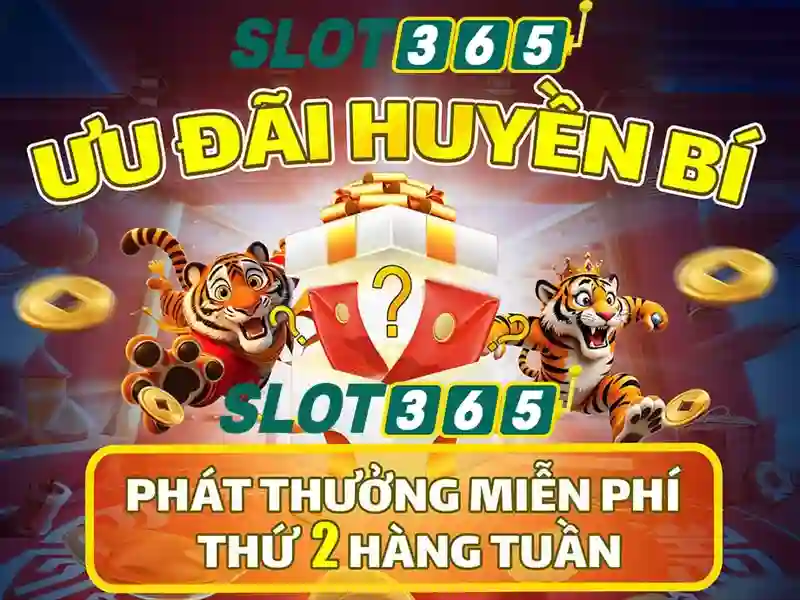 Slot365 – Đánh giá tổng quan về nền tảng xèng trực tuyến