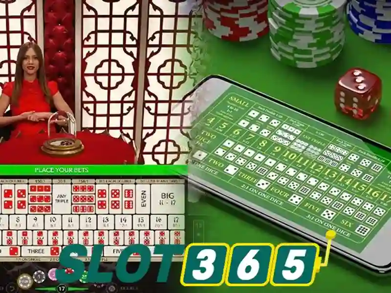 slot365 là gì — Khám phá hỗ trợ Slot365 và slot365 net