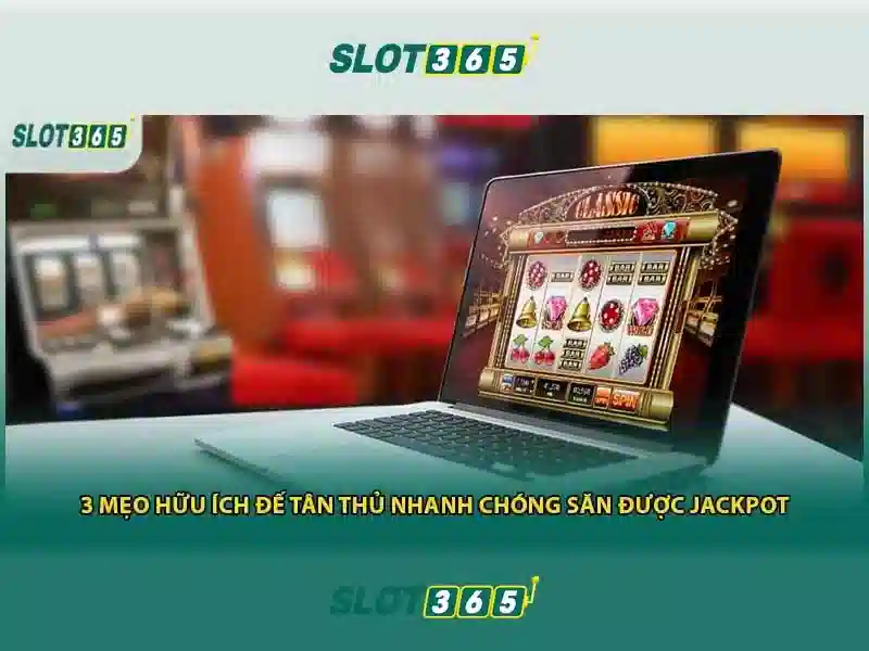 Sản phẩm và dịch vụ cốt lõi: ứng dụng thực tế của slot game Slot365