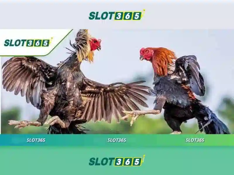 slot365 vn – Tổng quan chủ đề và giá trị cốt lõi\n