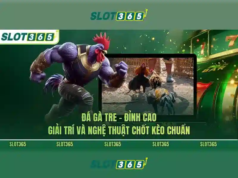 Slot365: Đánh giá và hướng dẫn chơi xèng