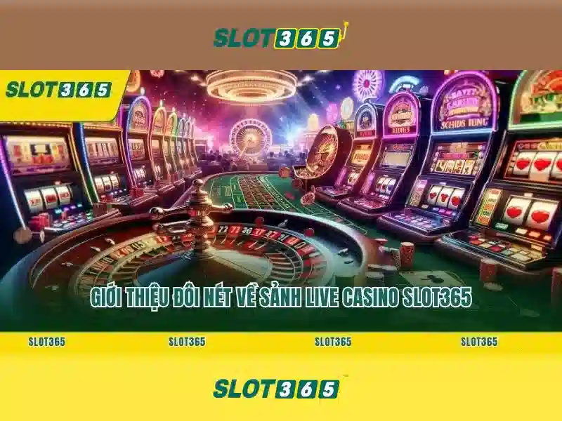 slot game Slot365 – Trải nghiệm đỉnh cao và tính năng nổi bật
