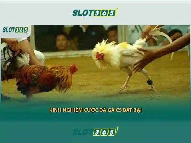 Hỗ trợ khách hàng và cộng đồng