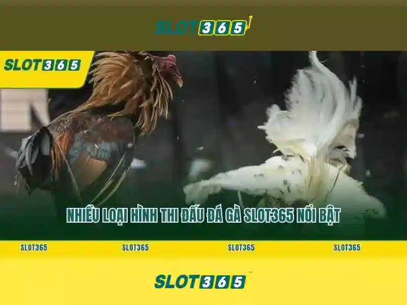 <!--IMG_PLACEHOLDER alt>Sản phẩm và dịch vụ chính: ứng dụng Slot365 uy tín không-->