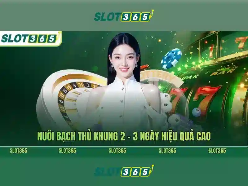 Slot365: Tong quan ve nen tang casino truc tuyen