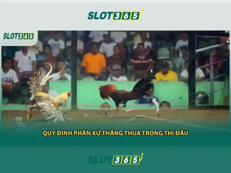 Kết luận