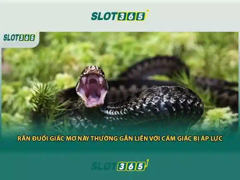 Slot365: Khám phá thế giới máy xèng trực tuyến