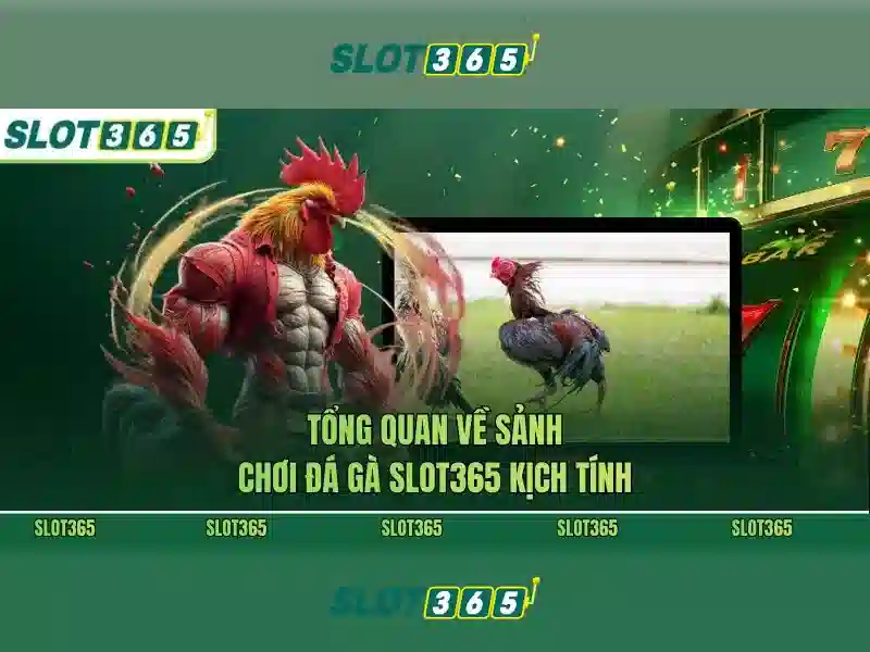 <!--IMG_PLACEHOLDER alt>Nguồn gốc từ khóa và sứ mệnh-->