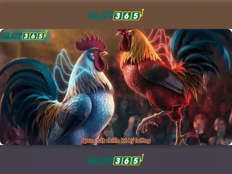 Slot365: Tổng quan về nền tảng slot online