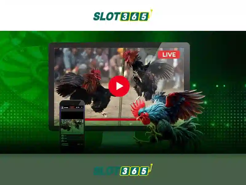 Slot365 là gì\n