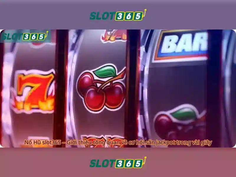 An toàn và bảo mật khi chơi tại Slot365