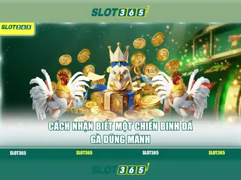 Slot365 là gì?