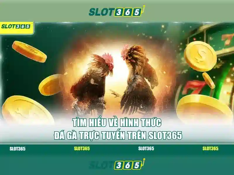 Slot365 là gì và những điều cần biết về nền tảng trò chơi trực tuyến
