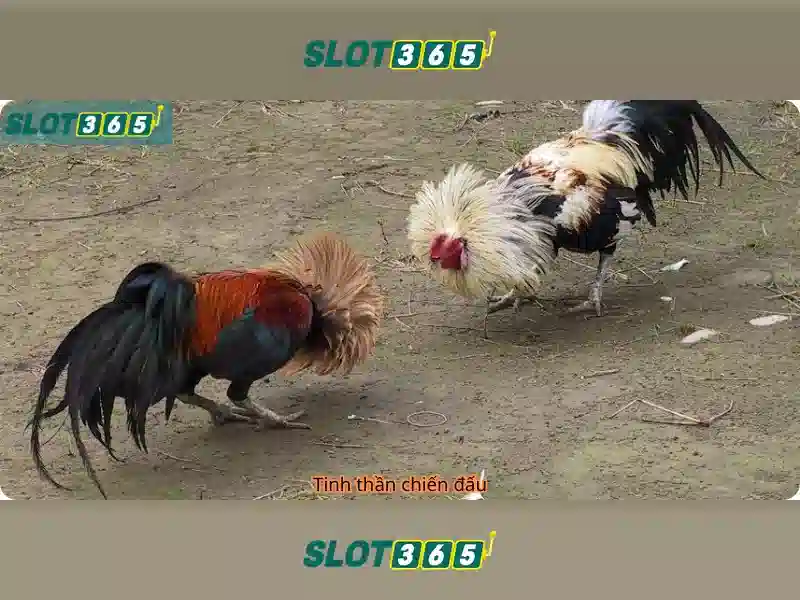 Trò chơi và công nghệ\n\n