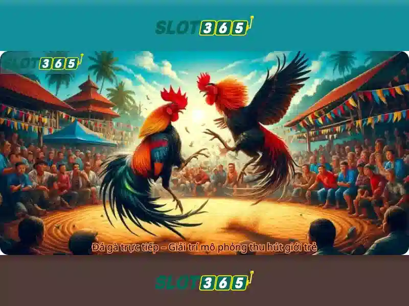 Trải nghiệm người dùng