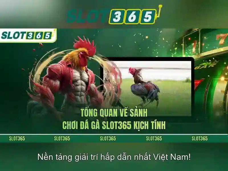 Slot365: Trải nghiệm slot đỉnh cao tại Việt Nam