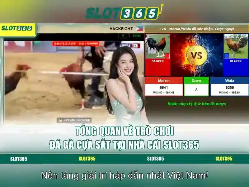 Trải nghiệm người chơi với Slot365