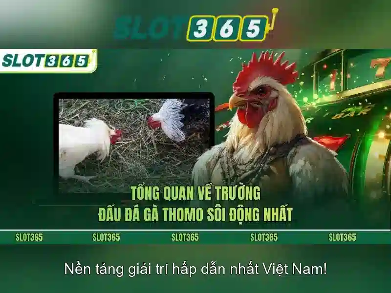 Nền tảng chơi game hàng đầu dành cho người Việt\n
