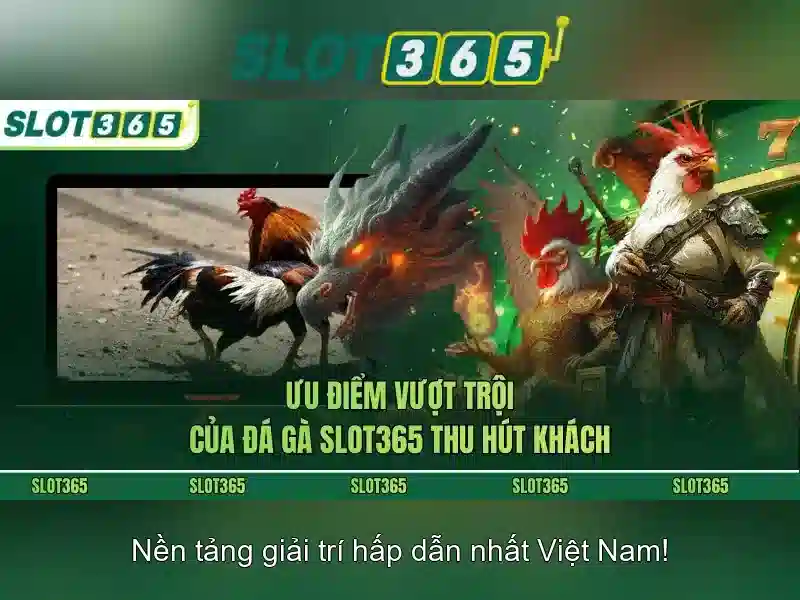 slot365 .com – Đánh giá tổng quan và trải nghiệm người dùng