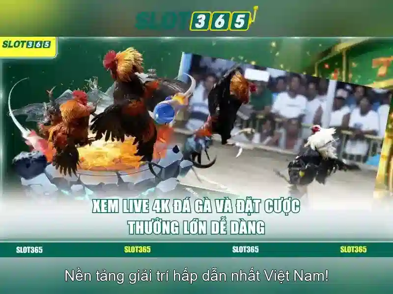 Slot365: Nền tảng chơi slot trực tuyến đáng tin cậy và an toàn