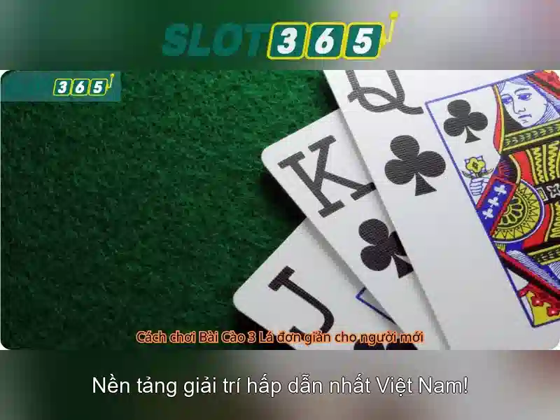 Slot365: Trải nghiệm chơi slot đồ họa và khuyến mãi hấp dẫn