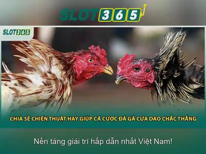 Slot365 - Đánh giá và trải nghiệm casino trực tuyến