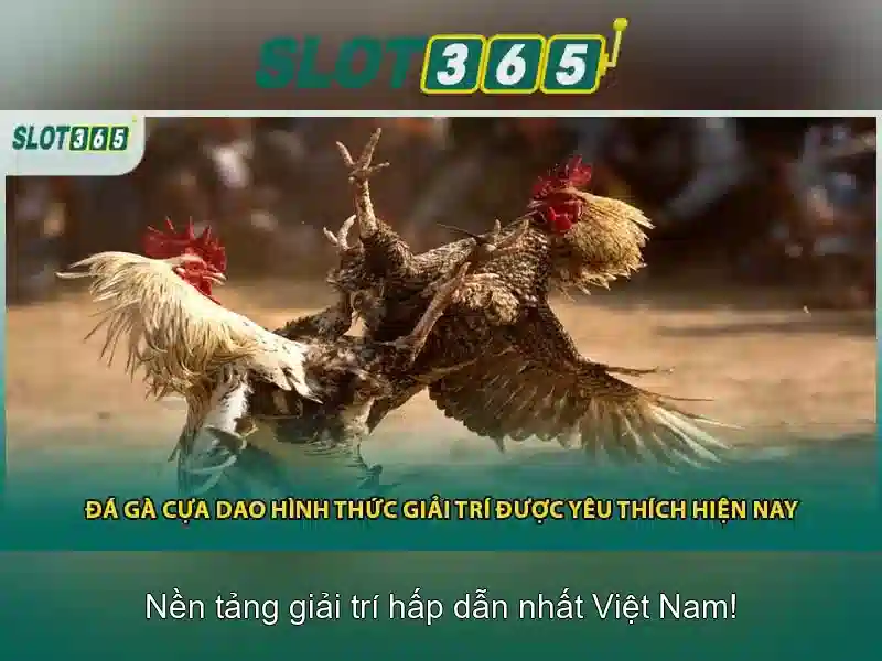 Slot365 – Nền tảng slot hàng đầu cho người chơi Việt