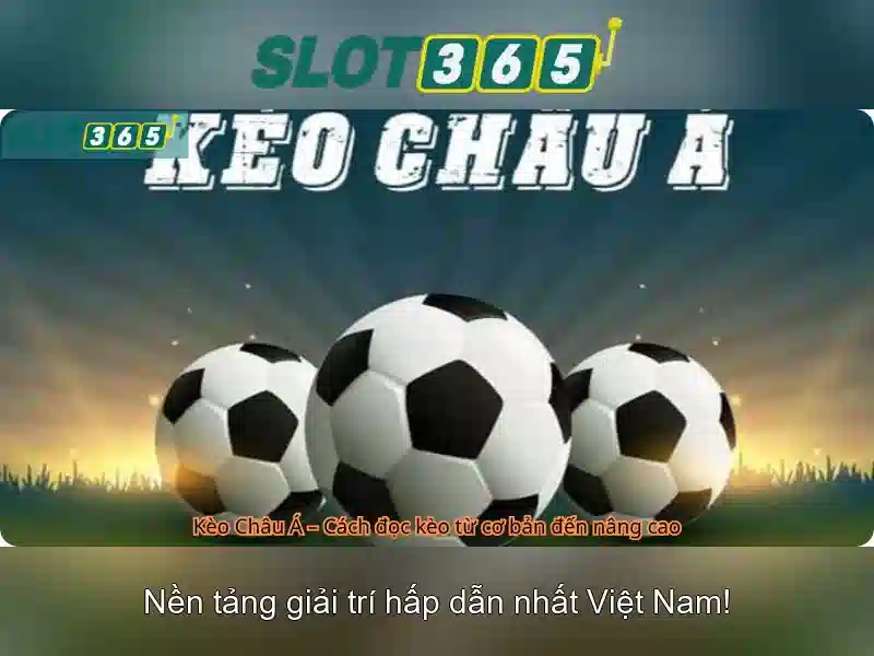Slot365: Trải nghiệm slot trực tuyến hàng đầu tại Việt Nam