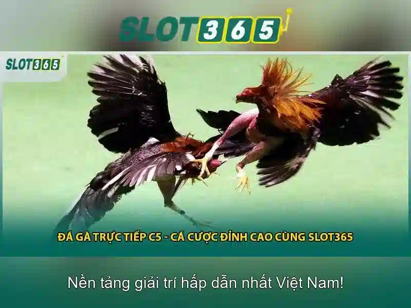 Khuyến mãi và chương trình dành cho người chơi