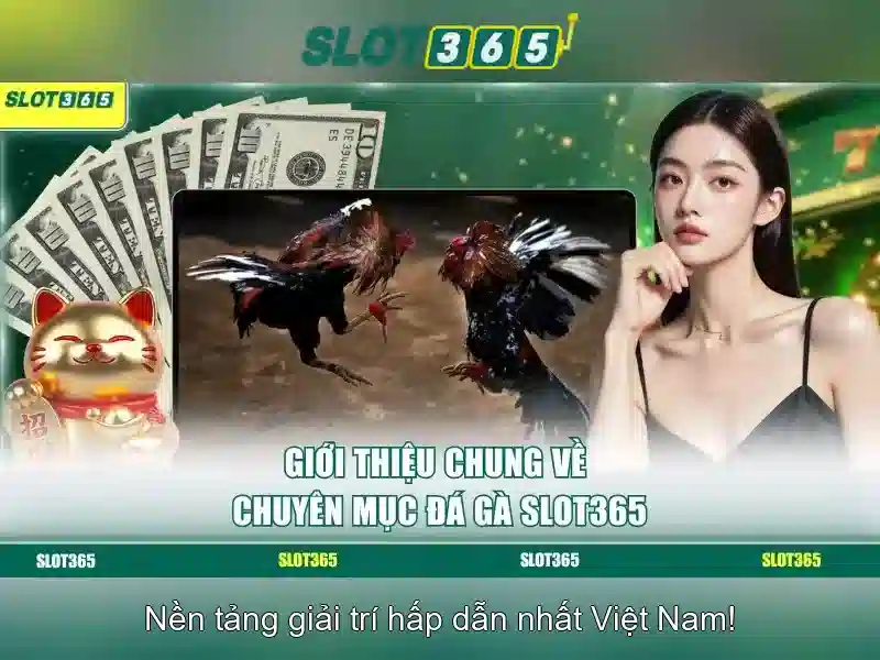 Slot365 – Đánh giá và Trải nghiệm nền tảng slot trực tuyến