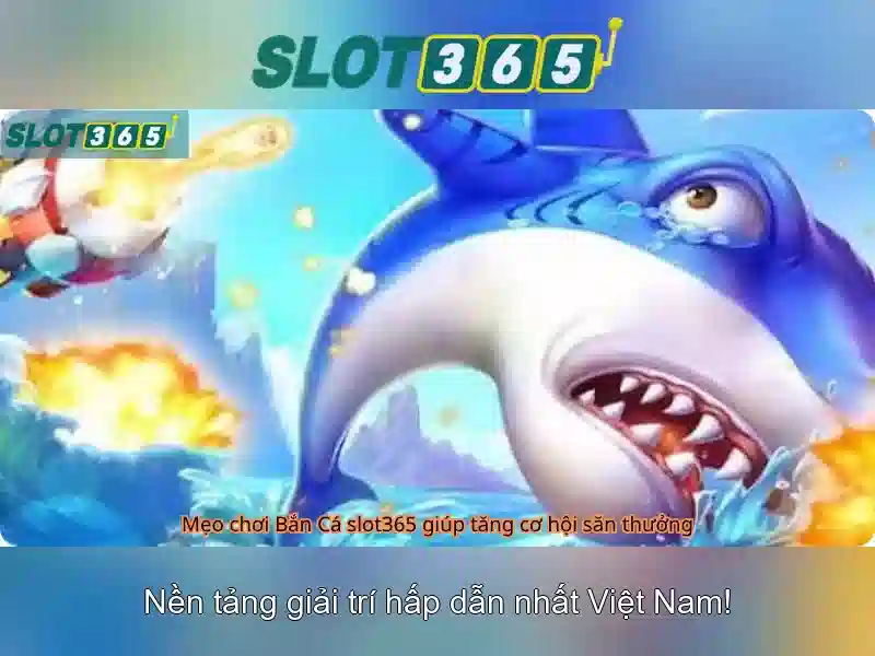 Khuyến mãi và chương trình thưởng