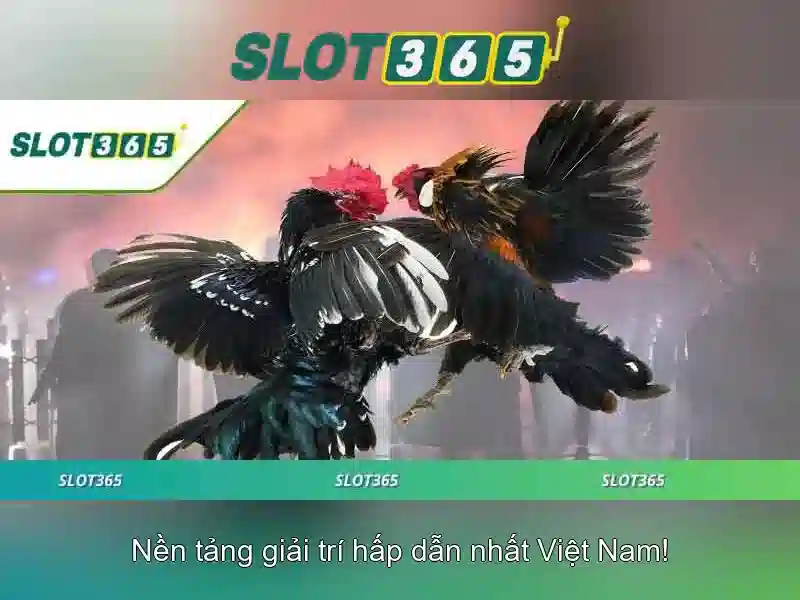 Slot365 - Trải nghiệm trò chơi xèng trực tuyến đáng tin cậy