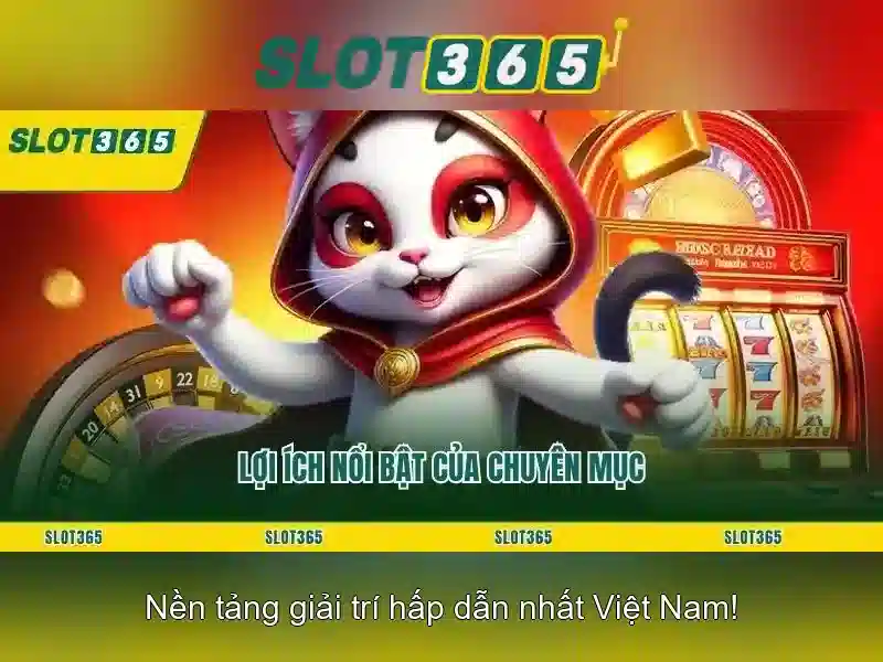 Slot365: Tổng quan về nền tảng chơi máy đánh bạc trực tuyến