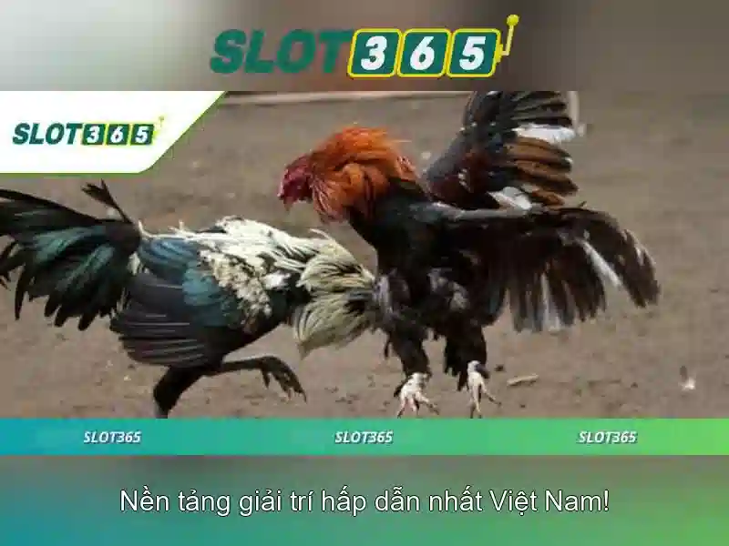 Lợi ích khi chơi Slot365