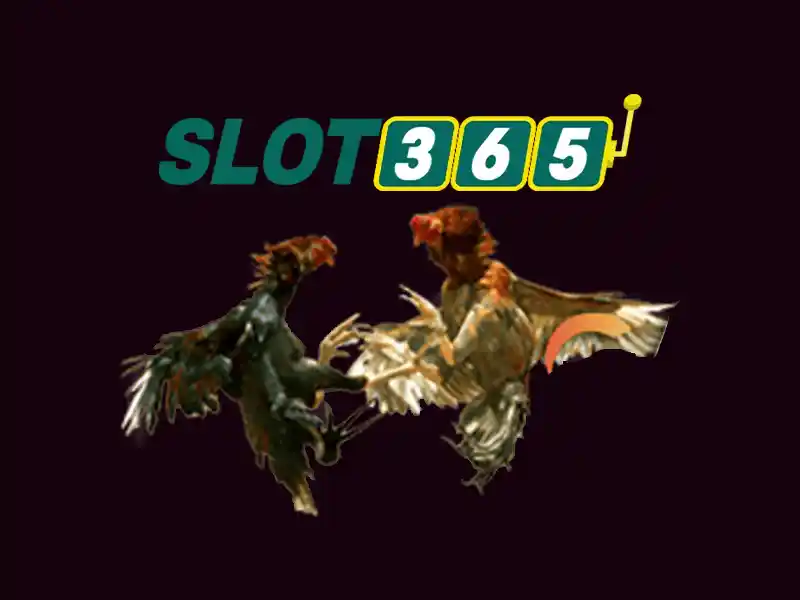 slot365 pulsa tanpa potongan – Trải nghiệm tốt và đánh giá Slot365