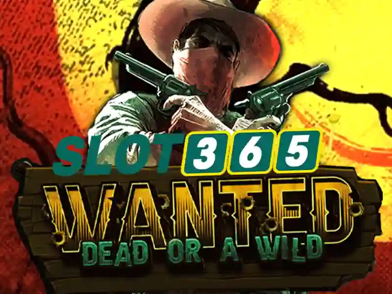 Slot365 – Nền tảng chơi slot trực tuyến uy tín