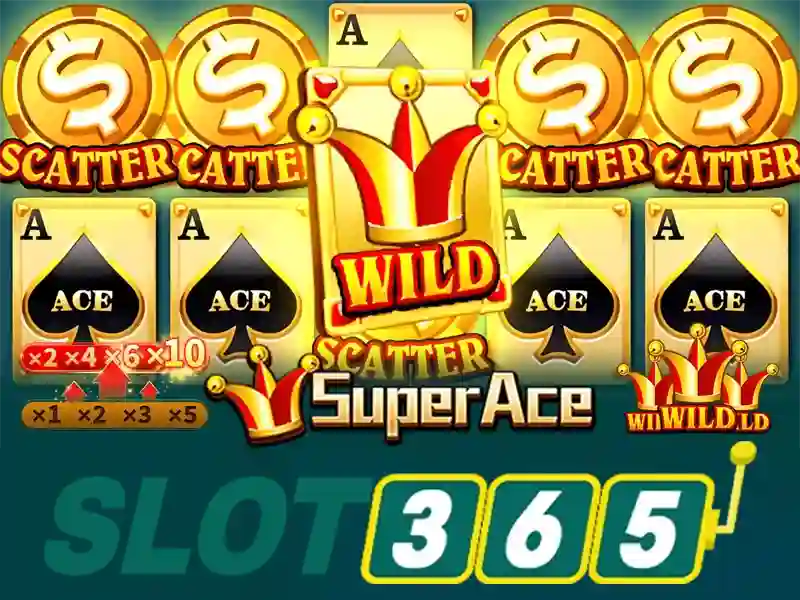 Slot365 là gì?