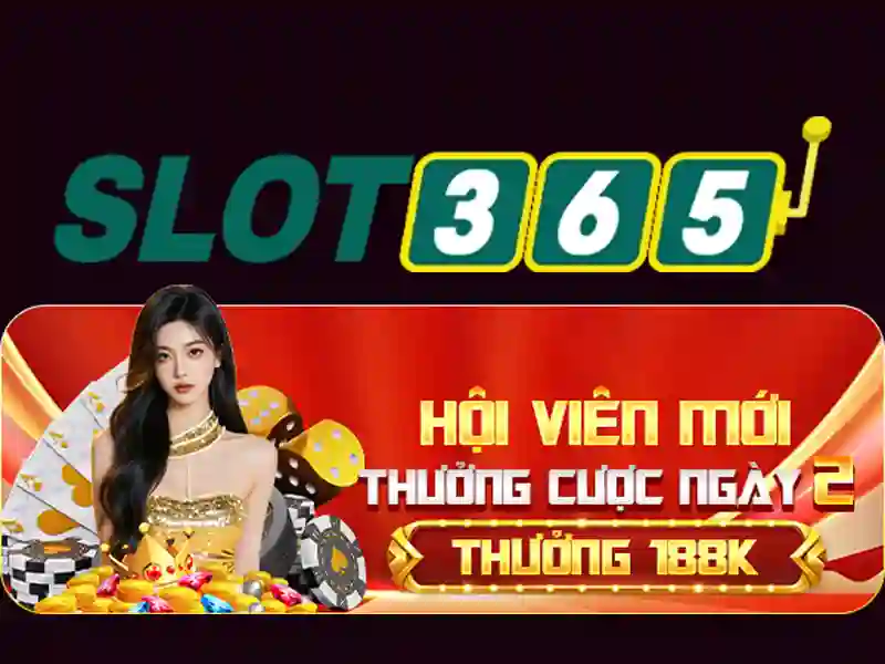An toàn và cấp phép