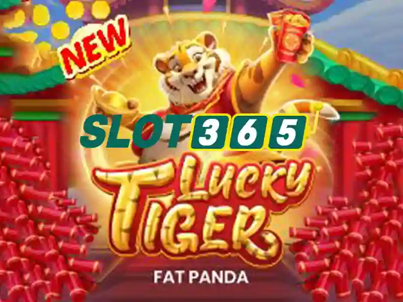 Slot365 là gì?