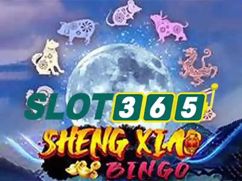 Cá nhân hóa và giao diện người dùng\n\n